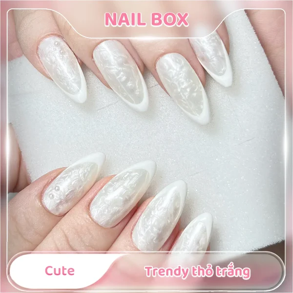 Nail box cute trendy thỏ trắng